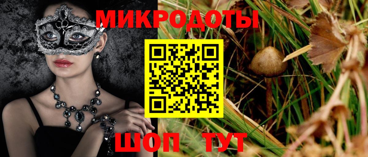 Псилоцибиновые грибы прущие грибы Оренбург