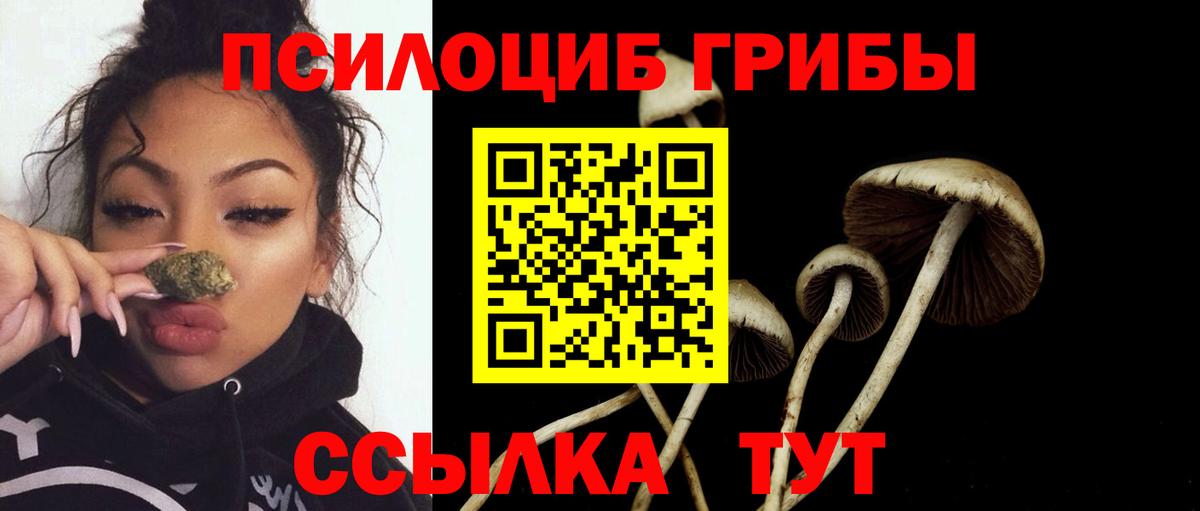 Оренбург  Галлюциногенные грибы Psilocybine cubensis  Вход с VPN 